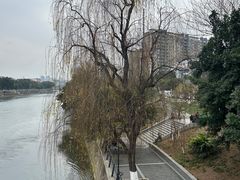 -云南印象昭通天麻火腿鸡(新疆石油花园二期店)