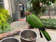 -南宫五洲植物乐园