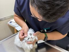 -爱妮康宠物医院·干细胞免疫细胞·肿瘤·心脏(张江店)