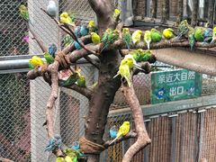 -正佳雨林生态植物园