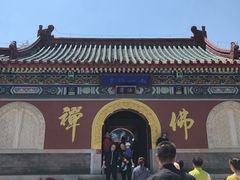 -龙口南山旅游景区