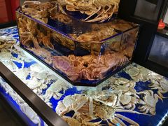 -蟹道乐(道顿堀本店)