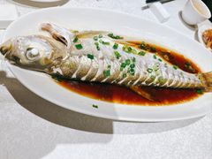 -金美华轩(东方路齐鲁店)