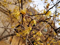 -山东师范大学(千佛山校区)