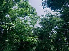-鹅湖玫瑰文化园