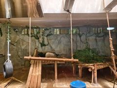 -深圳野生动物园