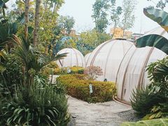 -悦见花开·花园里的火锅·露营·下午茶