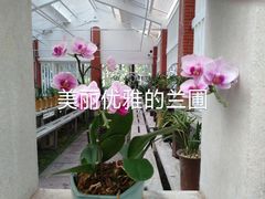 -广州兰圃
