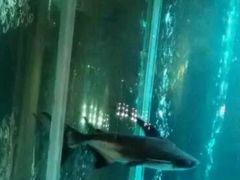 -碧涛阁水世界酒店(万家丽路店)