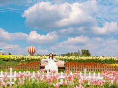 -荷兰花海