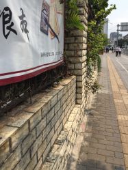-深圳市妇幼保健院(红荔院区)