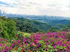 -广州市白云山风景名胜区