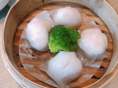 柏悦虾饺皇-宴会中心