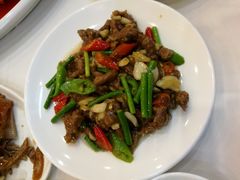 -九花山烤鸭店