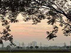 -汉长安城未央宫国家考古遗址公园