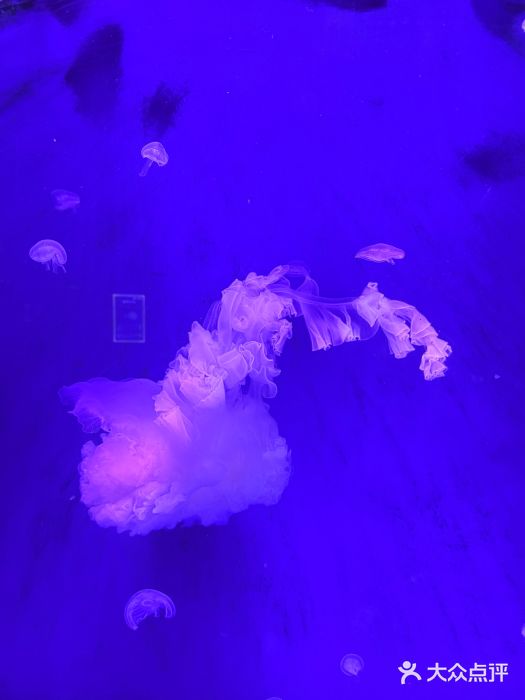 郑州海洋馆图片