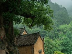 -杨家堂村
