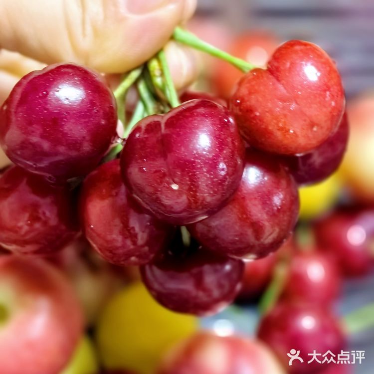 #随手拍#迷你水果局～mini fruits