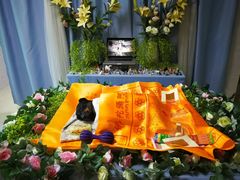 -彩虹桥宠物火化殡葬善终服务(金乐大厦店)