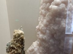 -安徽省地质博物馆