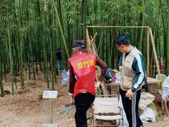 -同里国家湿地公园