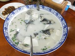 -全乐鱼馆·淳牌有机鱼直营店