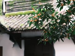 -成都杜甫草堂博物馆