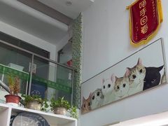 -爱侣宠医·鹦鹉专科·小型哺乳类·异宠专科(灵石路店)