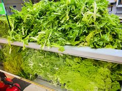 -蜀王砂锅总店