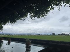 -喜林苑·稻田餐厅(品相府店)