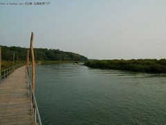-北海金海湾红树林生态旅游区