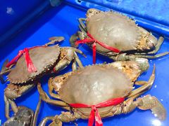 -姜君·千岛湖鱼头馆(浦东大道店)