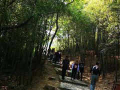 -穹窿山景区