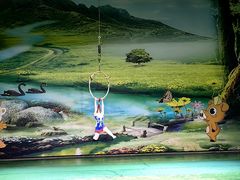 -森波拉奇妙世界