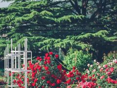 -国家植物园南园