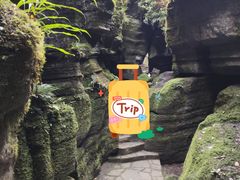 -梭布垭石林景区