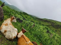 -塞罕坝国家级自然保护区