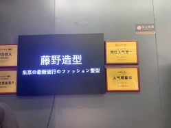 点击看大图 -藤野造型