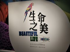 -国家自然博物馆