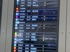 -上海浦东国际机场-T2航站楼