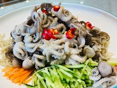 捞汁桃花蛸-添福来墨鱼饺子 · 海鲜东北菜(大连星海·黄浦路店)