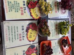 -马陆小张葡萄园农家乐