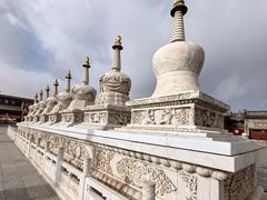 -泽成冰煮羊(非·遗公务员小区店)