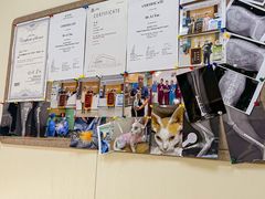 -美联众合动物医院·24h京西诊疗中心