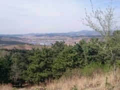 -高尔山公园