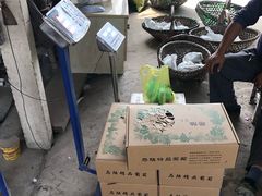 -马陆小张葡萄园农家乐