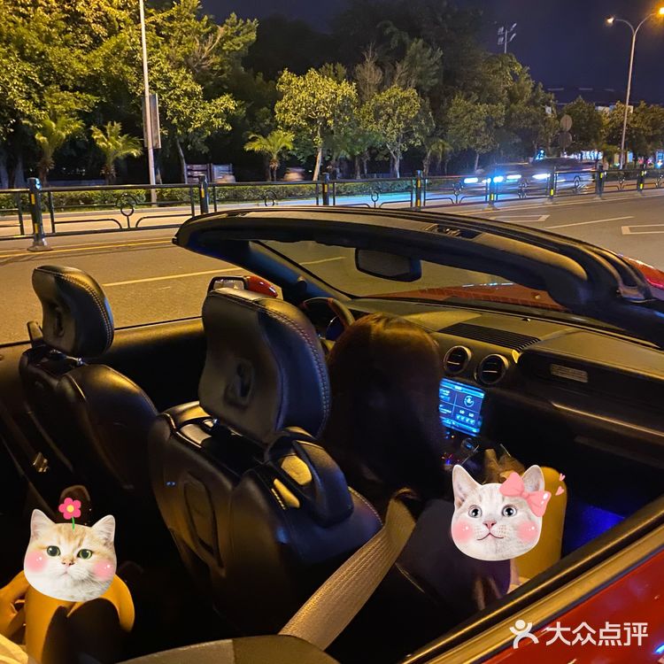 三亚租车攻略｜ 租车拍照一时爽…[偷笑]大家一定防止踩雷！！