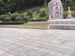 -天鹿湖森林公园