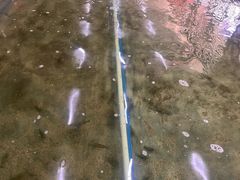 -光头佬室内钓虾场·烧烤·团建·亲子(中山八路店)