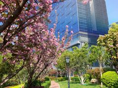 -天鹅湖体育公园